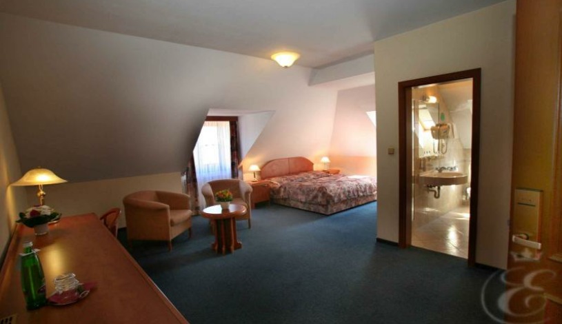 Hotel U Královny Elišky Hradec Králové - Double Delux